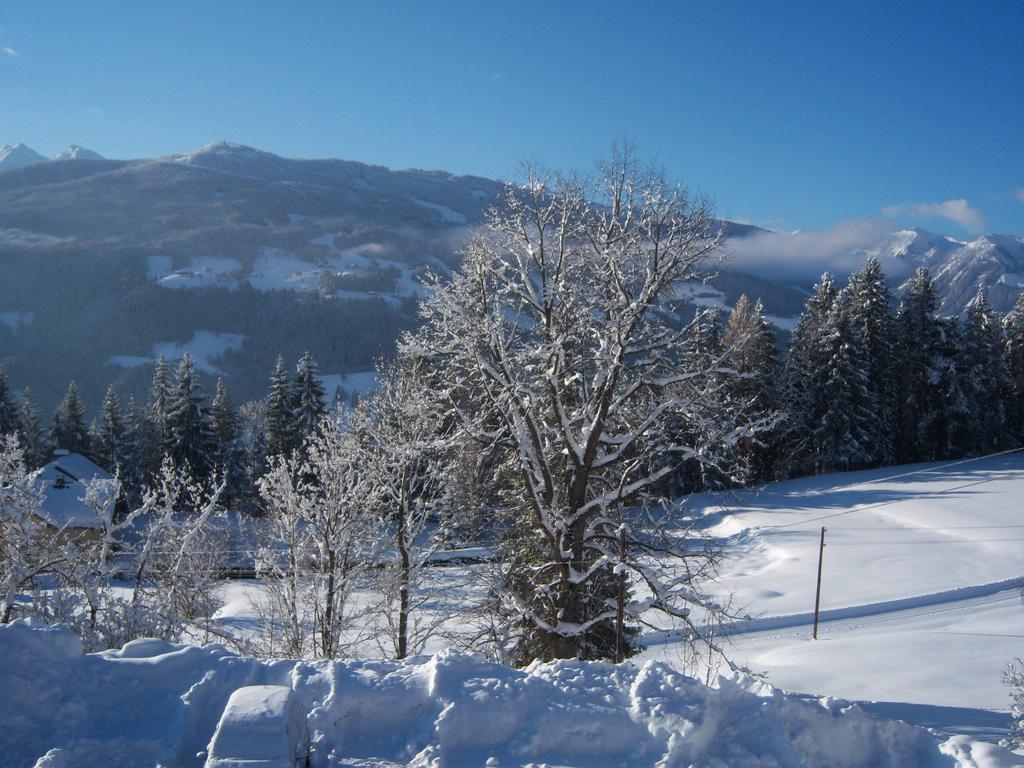 Appartement Zum Roessl Ramsau am Dachstein Kamer foto