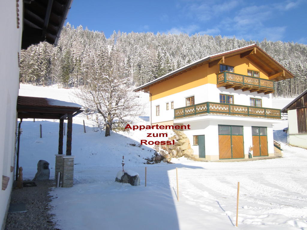 Appartement Zum Roessl Ramsau am Dachstein Kamer foto