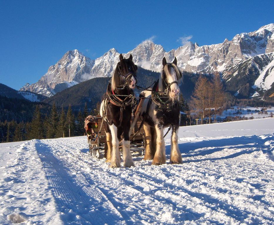 Appartement Zum Roessl Ramsau am Dachstein Buitenkant foto